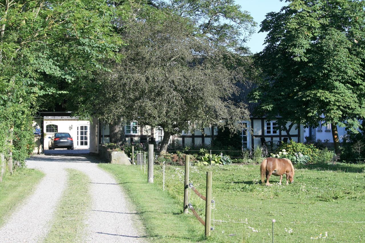 Rødkærgård Bed&Breakfast Kerteminde Eksteriør billede